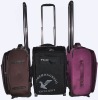 2011 newest fashion luggage bag