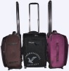 2011 newest fashion luggage bag