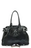 2011 newest fashion woman Handbag