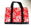2011 newest shopping bag