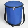 2011 newest wine cooler bags