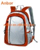 2011 nice fashion laptop backpack