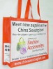 2011 non woven shopping bag