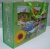 2011 non woven shopping bag