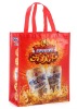 2011 non woven shopping bag