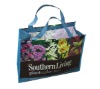 2011 non-woven shopping bag promotion bag