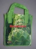 2011 non woven with laminate bag