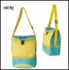 2011 outdoor picnic cooler bag