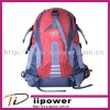 2011 polyester Leisure backpack with OEM