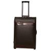 2011 popular  luggage