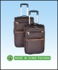 2011 popular luggage bag