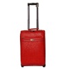 2011 popular  luggage bag