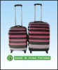 2011 popular luggages