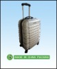 2011 popular luggages