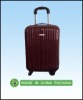 2011 popular luggages