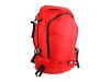 2011 popular printing backpack / knapsack