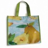 2011 pp woven bag for fruit
