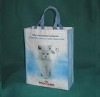 2011 pp woven shopping bag(DFY-W050)