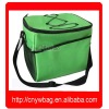 2011 promotional good-quality outdoor insulated cooler bag for picnic