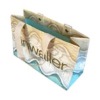 2011 promotional paper bag