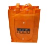 2011 recyle non woven bag packing fruit juice bottle