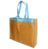 2011 the newest beautiful printing peritoneal pp laminated water-proof non woven bag(N600220)