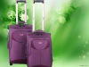 2011 travel  luggage trolley bag