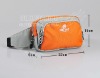 2011 travelling waist bag