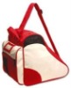 2011 triangle bag