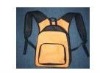 2011BACKPACK(FSC-2011)