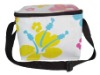 2011CB011 picnic cooler bag