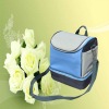 2011bestsell Cooler Bags fot travel