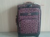 2011most lovely fashion girls luggage