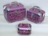 2011new popular and hot sell Cosmetic Case/Box, aluminum case/Box, dressing case, beauty cosmetic case,make-up case