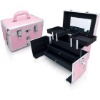 2011new popular and hot sell Cosmetic Case/Box, aluminum case/Box, dressing case, beauty cosmetic case,make-up case
