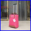 2012 2pcs trolley luggage set