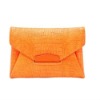 2012 Designer Envelope Clutch