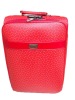 2012 Durable Women Trolley Cases