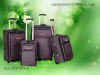 2012 EVA fashion luggage set