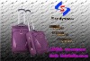 2012 FASHION LUGGAGE BAG