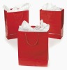 2012 FSC certificated printed paper bags