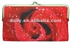 2012 Fashion Clutch Purse