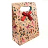 2012 Fashionable Gift Bag