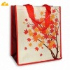 2012 Fashional RPET recycle bag