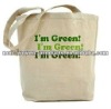 2012 Green T-botton canvas bag factory