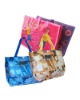 2012 Hot!!pp woven zipper shopping bag