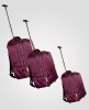 2012 Kids EVA Soft Trolley Luggage