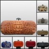 2012 Lady Evening Bags Clutch Purse Bags