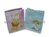 2012 New Design Birthday Gift Paper Bag SR/PB-042