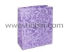 2012 New Design Luxury Gift Paper Bag SR/PB-046